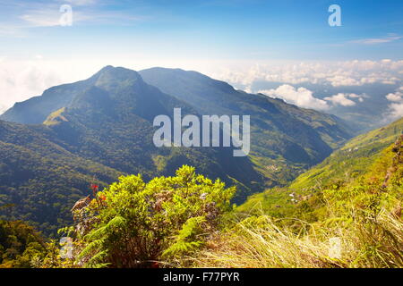 Sri Lanka - paesaggio del Horton Plains National Park, vista da "Fine del Mondo" Foto Stock