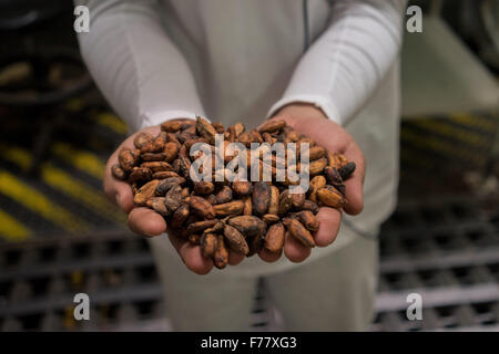 Robinson Rendon, capo della produzione per la casa del cioccolato Luker società detiene una partita di fave di cacao asciutte sono pronte per essere elaborate Febbraio 24, 2015 a Bogotà, in Colombia. Il cacao Cialde vengono essiccati e fermentati di diventare la base di cioccolato. Foto Stock