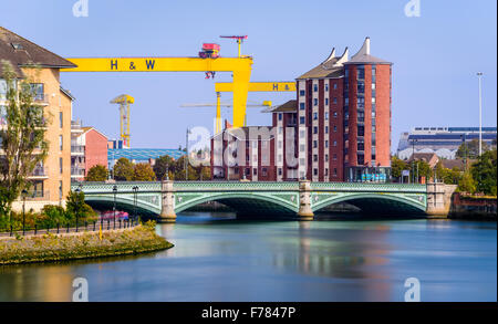 Harland e Wolff gru in piedi sopra Albertbridge in East Belfast Foto Stock
