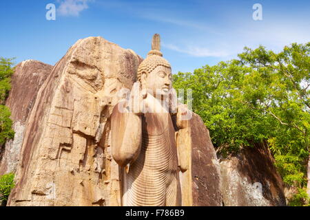 Sri Lanka - Anuradhapura, Buddha Aukana statua, dettaglio di Aukana statua, Patrimonio Mondiale dell UNESCO Foto Stock