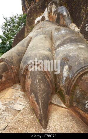 Sri Lanka - Porta del Leone dettaglio, antica fortezza, Sigiriya, UNESCO Foto Stock