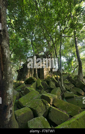 La giungla di nascosto il tempio di Beng Mealea, Siem Reap, Cambogia Foto Stock