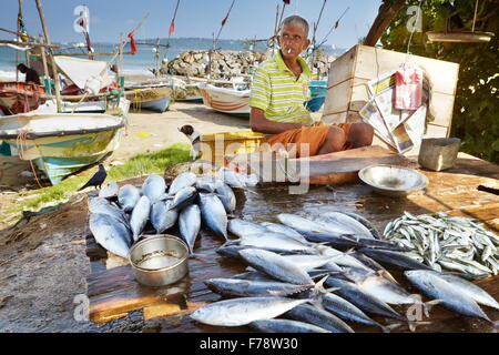 Sri Lanka - Galle, pescatori vendere pesce fresco al porto Foto Stock