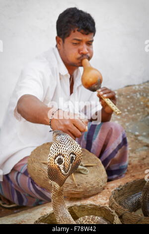 Sri Lanka - Galle, snake incantatore Foto Stock