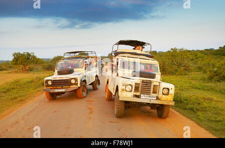 Sri Lanka - Yala National Park, off road jeep safari Foto Stock