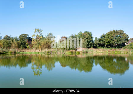 Stagno su West, Comune di Gerrard Cross, Buckinghamshire, Inghilterra, Regno Unito Foto Stock