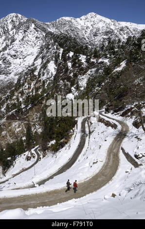 strada coperta di neve, uttarakhand, india, asia Foto Stock