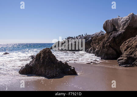 Le formazioni rocciose presso Leo Carrillo Beach State Park in Malibu California durante il periodo estivo con la bassa marea. Foto Stock