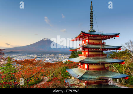 Mt. Fuji, Giappone da dietro Chureito Pagoda. Foto Stock
