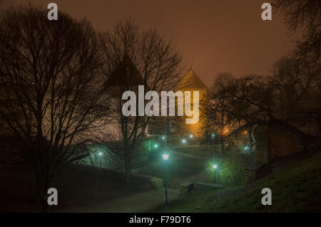 Torri e lanterne della città vecchia di Tallinn nella notte di nebbia, Estonia Foto Stock