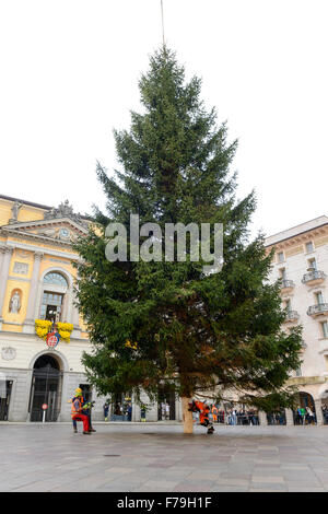 Lugano, Svizzera - 20 novembre 2015: i lavoratori che si spostano di un albero di Natale che viene depositato da un elicottero in squa centrale Foto Stock