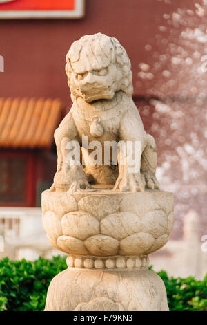 Pechino, Cina - Chiusura del leone di pietra nella parte anteriore della torre di Tiananmen. Foto Stock