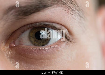 Extreme Closeup colpo di un bellissimo uomo Eye Foto Stock