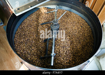 Appena il caffè torrefatto in grani di cadere in un raffreddatore di filatura macchina professionale. Foto Stock
