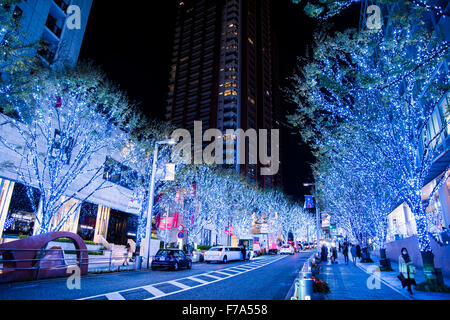 L'illuminazione,Keyakizaka-dori street,Roppongi Hills,Minato-Ku,Tokyo Giappone Foto Stock