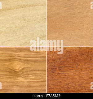 Set di quattro diverse texture di legno Foto Stock