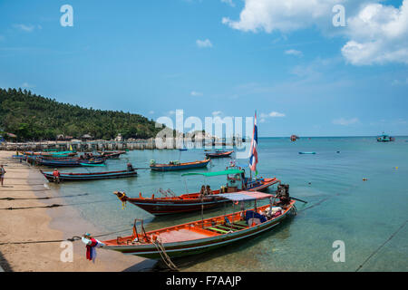 Coloratissima coda lunga barche sulla spiaggia, in mare, Koh Tao, Golfo di Thailandia, Tailandia Foto Stock