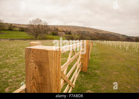 Vista la piantumazione di alberi regime in Reeth,North Yorkshire vicino al ponte girevole con grande cancello in primo piano Foto Stock