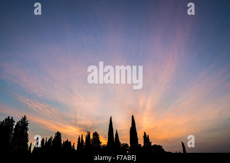 Gli alberi su una collina con il sole che tramonta dietro a Firenze. Foto Stock