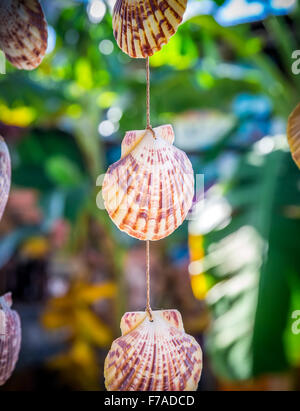 Conchiglie di mare negozio di souvenir da qualche parte nella Repubblica Dominicana Foto Stock