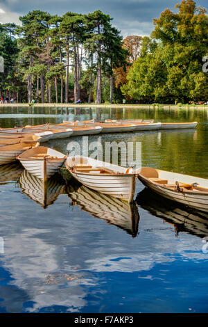 Il Bois de Boulogne Parigi Francia Foto Stock