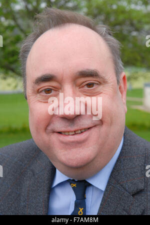 Alex Salmond MP pone per il colpo di testa in corrispondenza di una Pasqua photocall prima della elezioni scozzese nel 2011. Foto Stock
