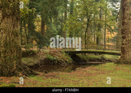 Ponte sul fiume noto come Blackwater la Nuova Foresta Foto Stock