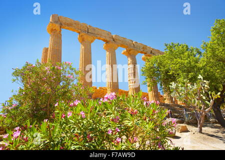 Tempio di Hera nella Valle dei Templi (Valle dei Templi, Agrigento, Sicilia, Italia UNESCO Foto Stock