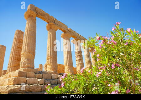 Tempio di Hera nella Valle dei Templi (Valle dei Templi, Agrigento, Sicilia, Italia UNESCO Foto Stock