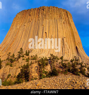 devils torre monumento nazionale nella foresta nazionale delle colline nere vicino sundance, wyoming Foto Stock