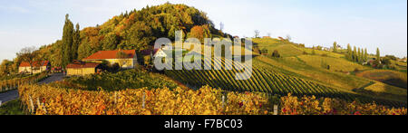 Suedsteirische Weinstrasse, sud della Stiria via del vino in autunno, Austria, la Stiria, sud della Stiria Foto Stock