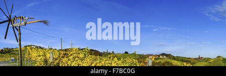 Suedsteirische Weinstrasse, sud della Stiria via del vino in autunno, Austria, la Stiria, sud della Stiria Foto Stock