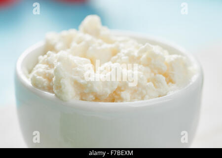 Cottage cheese nella ciotola bianco Foto Stock