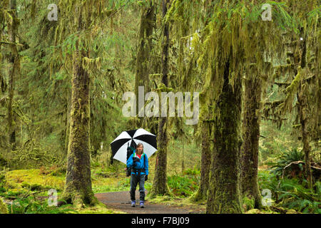 Backpacker facendo una deviazione attraverso la sala di muschi prima voce l'Hoh River Valley nel Parco Nazionale di Olympic. Foto Stock