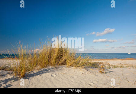 Capo Comino, Siniscola, Sardegna, Italia, 10/2012. Le dune di sabbia dietro Capo Comino spiaggia. Foto Stock
