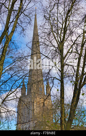 La guglia (ricostruito negli anni settanta) dietro gli alberi autunnali di St Mary Redcliffe Chiesa Parrocchiale, Bristol, Inghilterra Foto Stock