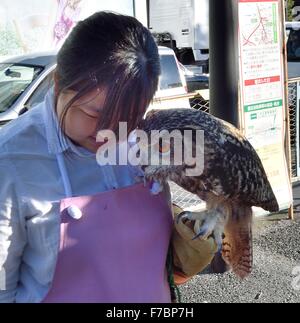 Tokyo, Giappone. 26 Nov, 2015. Un gufo Handler attrae visitatori all'Owl Cafe nel quartiere Harajuku di Tokyo con la dimostrazione di come questi uccelli della preda può essere notevolmente tame e affettuoso. In Giappone il caffè animale riempire un importante nicchia come molte persone nelle aree urbane vivono in appartamenti angusti con rigorosa non-animali domestici politiche. Il pet cafe permette loro di connettersi con la addomesticazione regno animale. © Rory Merry/ZUMA filo/Alamy Live News Foto Stock