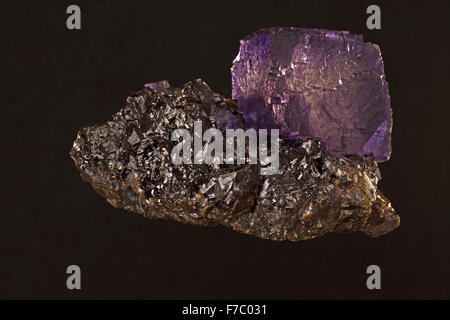 Fluorite su sfalerite, Elmwood miniera, Eennessee Foto Stock