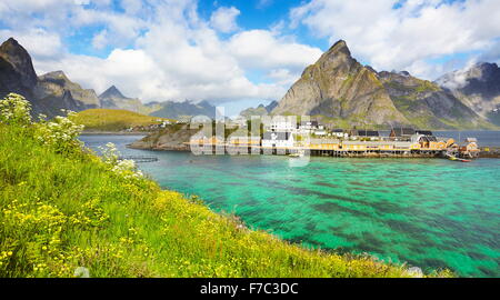 Isole Lofoten, molla paesaggio, Moskenes, Norvegia Foto Stock