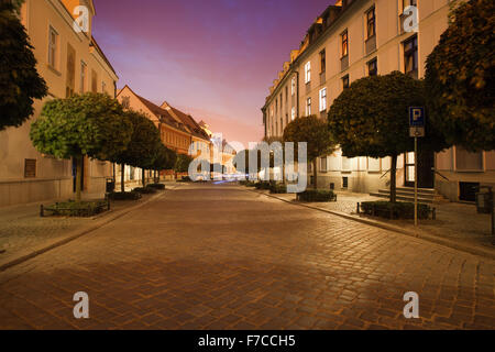 La Polonia, la città di Wroclaw, Katedralna street in Ostrow Tumski di notte Foto Stock