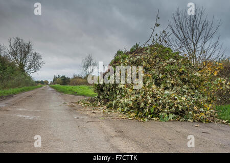 Rami e talee di albero oggetto di dumping in un passante posto su un vicolo del paese in Cambridgeshire Foto Stock