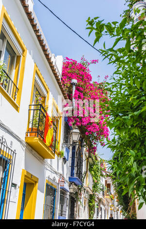 Tipiche strade andaluse e balconi con fiori a Marbella Andalucía Spagna Foto Stock