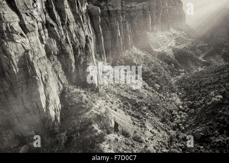 Visualizzare di nuovo la crescita di alberi e la strada al tramonto dal Canyon Overlook. Parco Nazionale di Zion, Utah Foto Stock