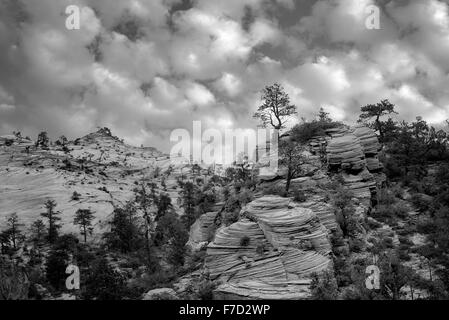 Vista delle formazioni rocciose nel Parco Nazionale di Zion, Utah Foto Stock