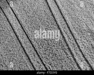 Vista aerea guardare direttamente verso il basso sul campo di mais con linee parallele di cingoli del trattore la creazione di vista interessante Foto Stock