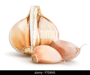aglio isolato Foto Stock
