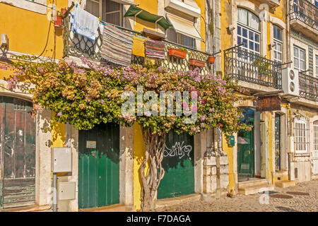 Case colorate Belem Lisbona Portogallo Foto Stock