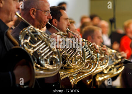 Corno francese sezione Foto Stock