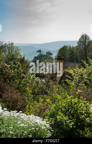 Vista su cottage con il tetto di paglia a Selworthy, Somerset, Inghilterra, Regno Unito Foto Stock