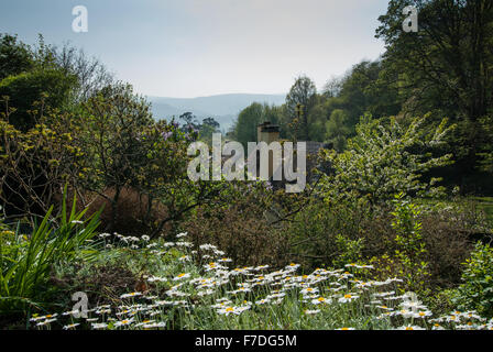 Vista su cottage con il tetto di paglia a Selworthy, Somerset, Inghilterra, Regno Unito Foto Stock